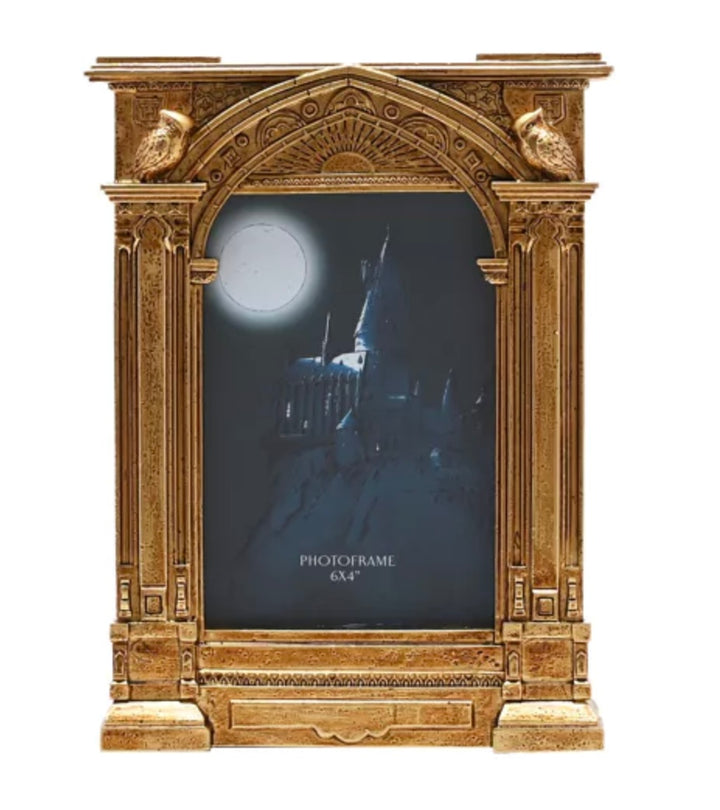 WARNER BROS HARRY POTTER ALUMNI HOGWARTS GOLD FRAME