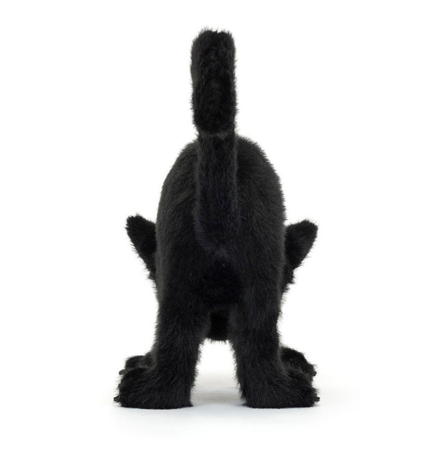 SPOOKIPAWS CAT