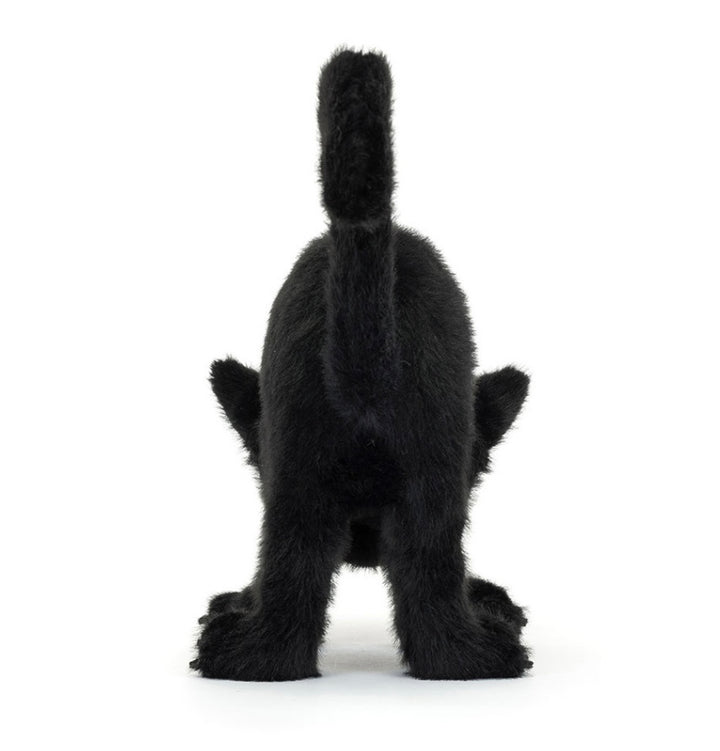 SPOOKIPAWS CAT