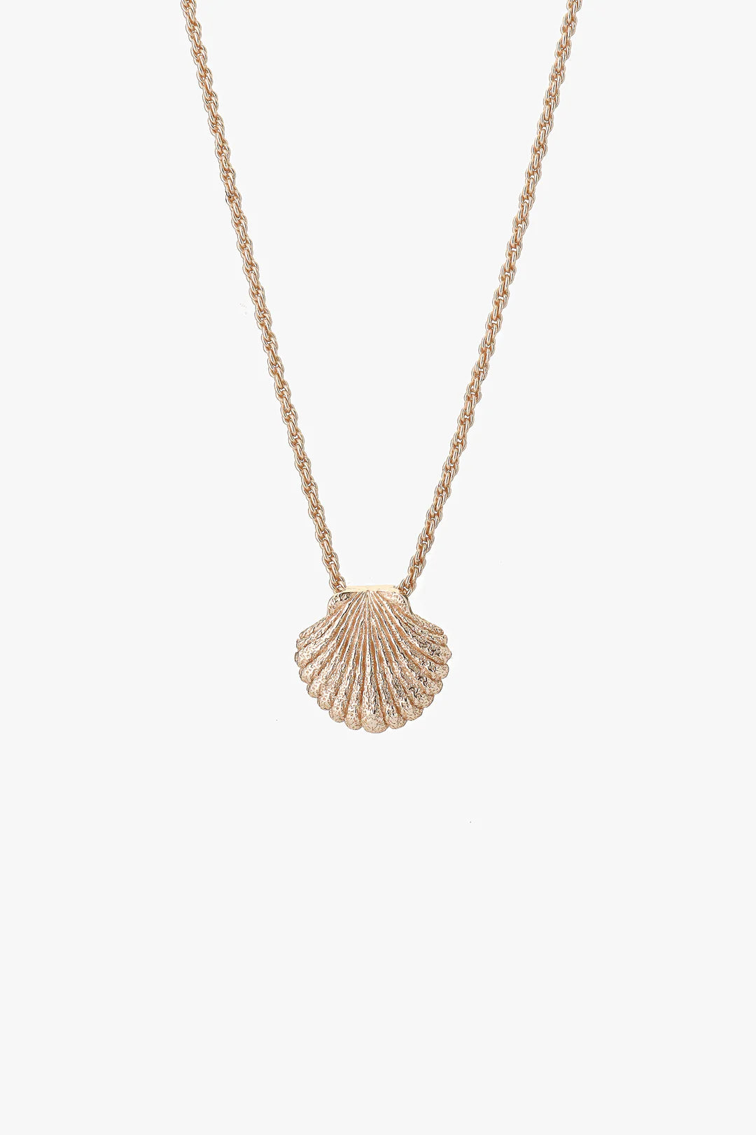 GOLD SHELL NECKLACE