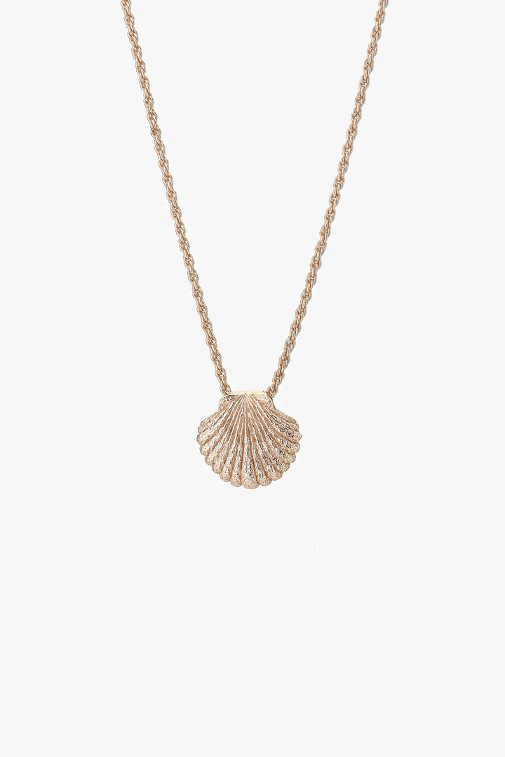 GOLD SHELL NECKLACE