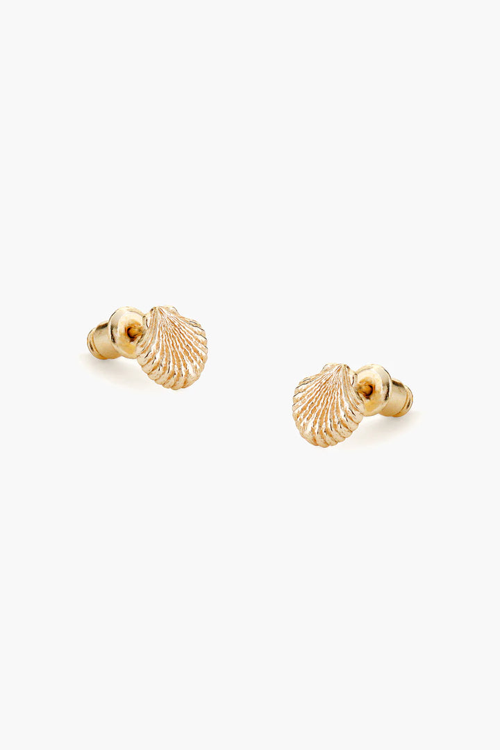 SHELL GOLD EARRINGS