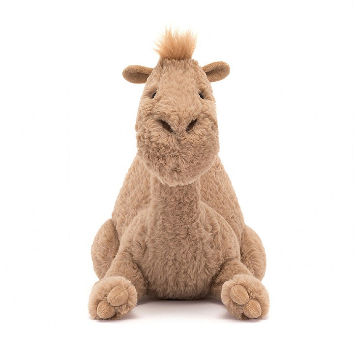 RICHIE DROMEDARY CAMEL