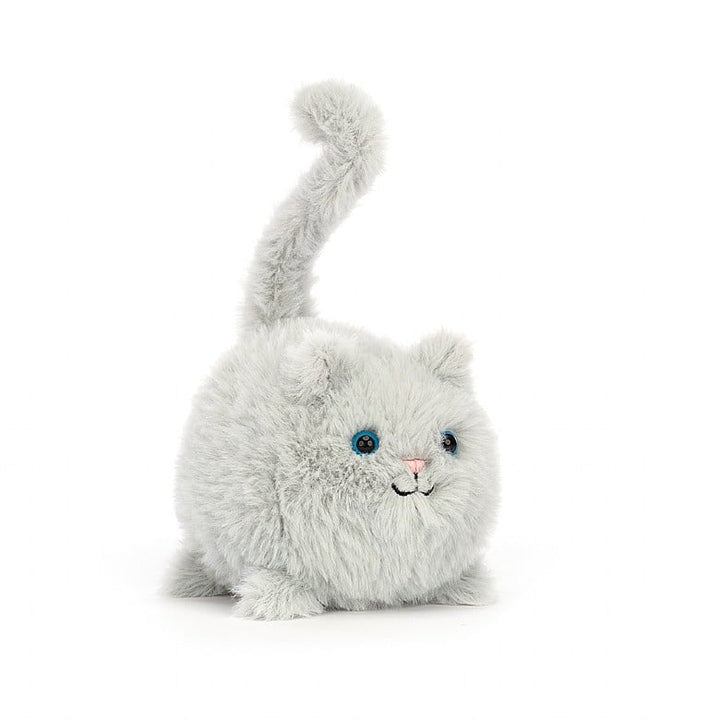 KITTEN CABOODLE GREY