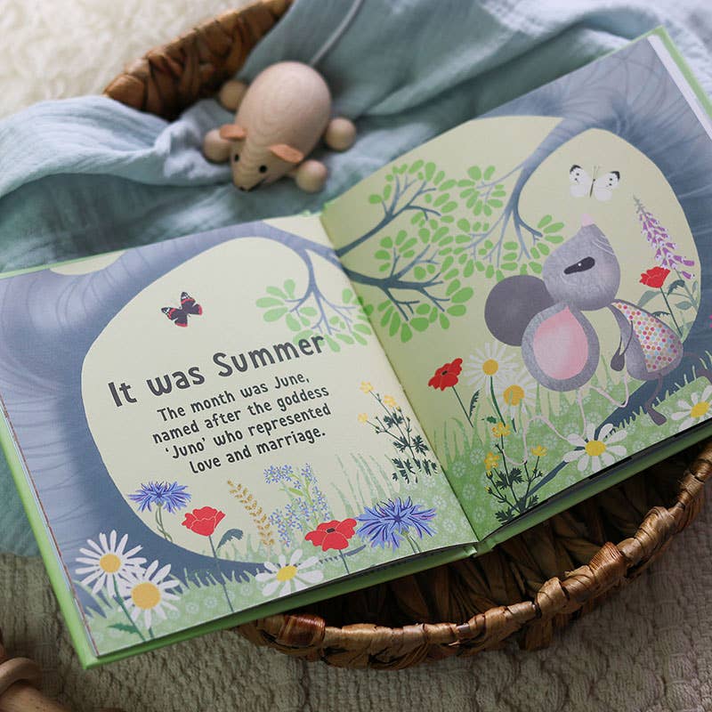The Day You Were Born In June | Newborn Gift | Baby Shower