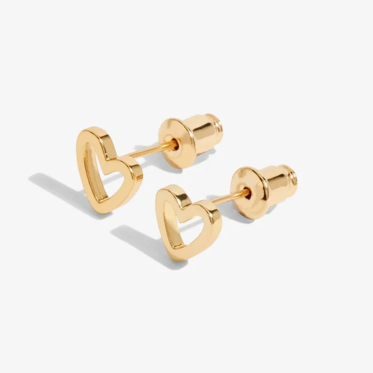 BOXED BEAUTIFUL FRIEND EARRINGS
