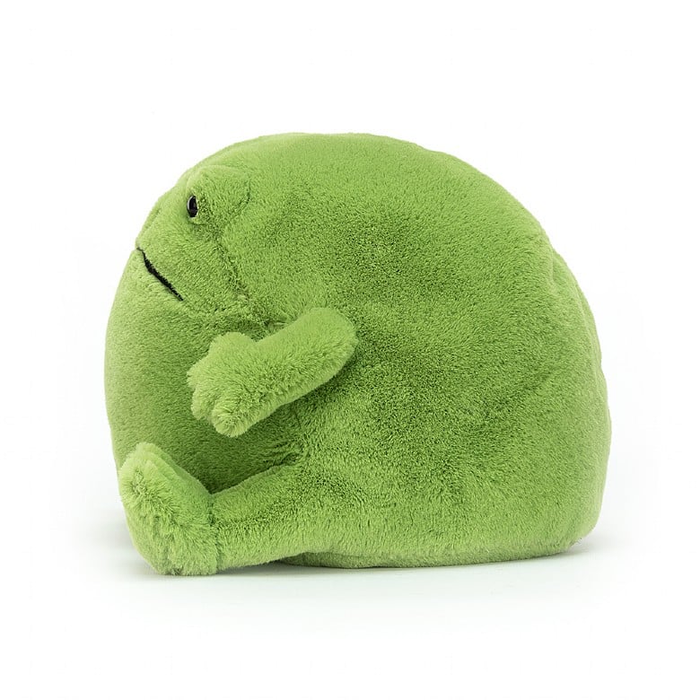 LARGE RICKY RAIN FROG