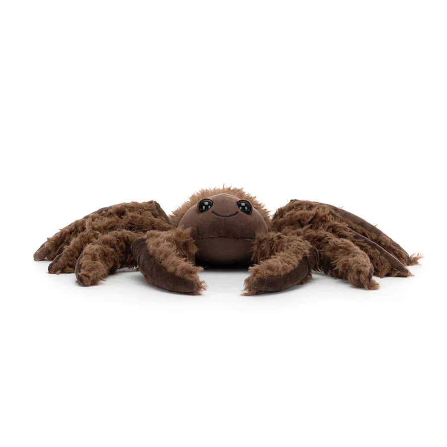 SMALL SPINDLESHANKS SPIDER