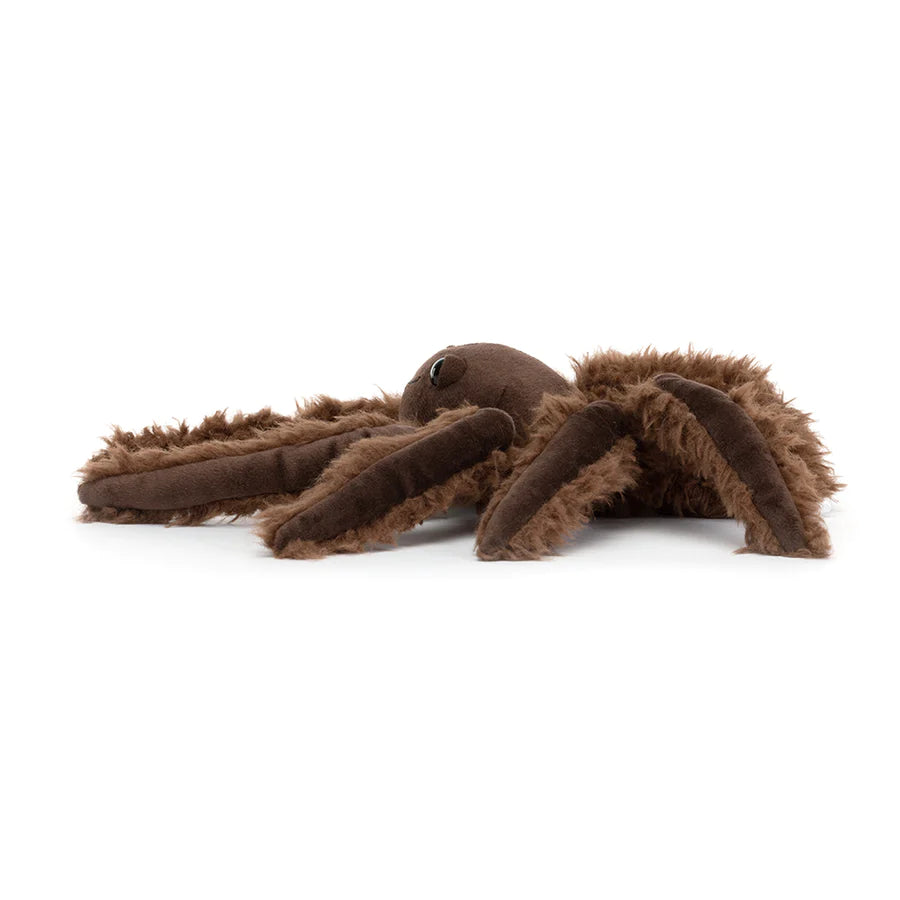 SMALL SPINDLESHANKS SPIDER