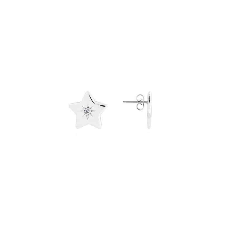 A LITTLE FABULOUS EARRINGS