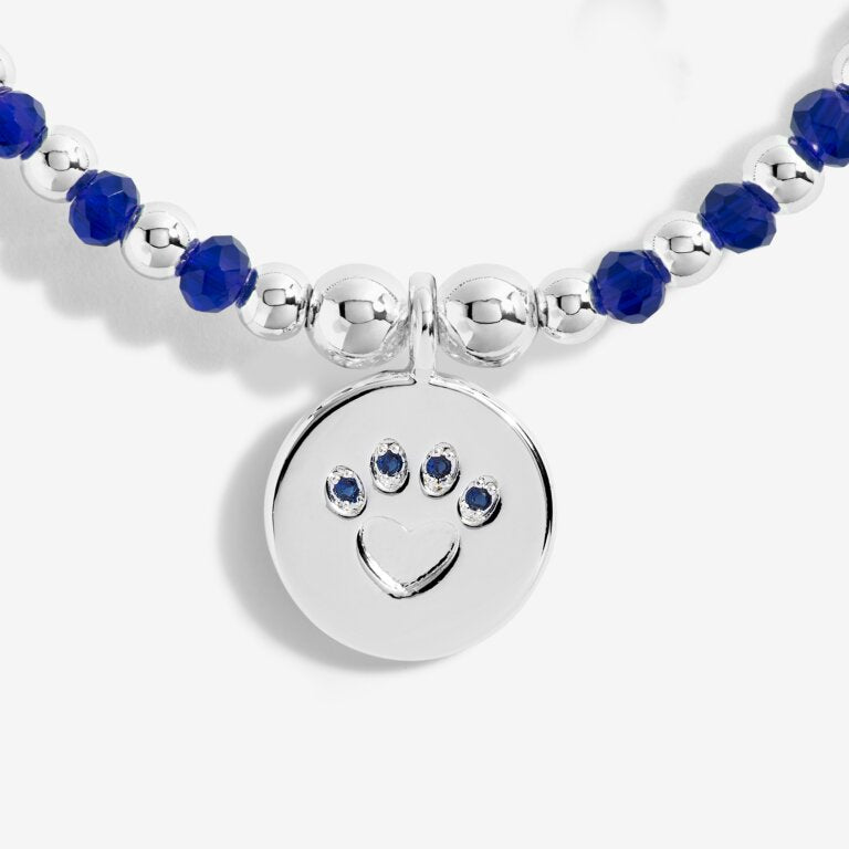 COLOUR POP A LITTLE PERFECT PAW BRACELET