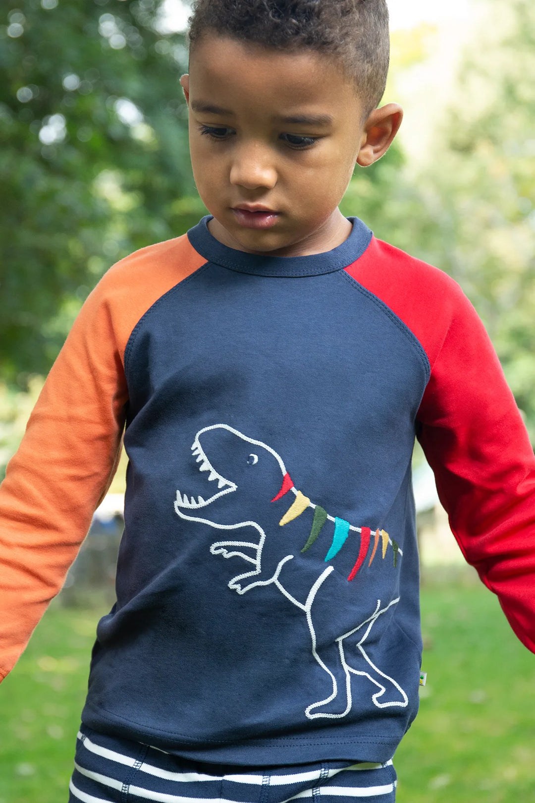 JAKE APPLIQUE TOP DINO