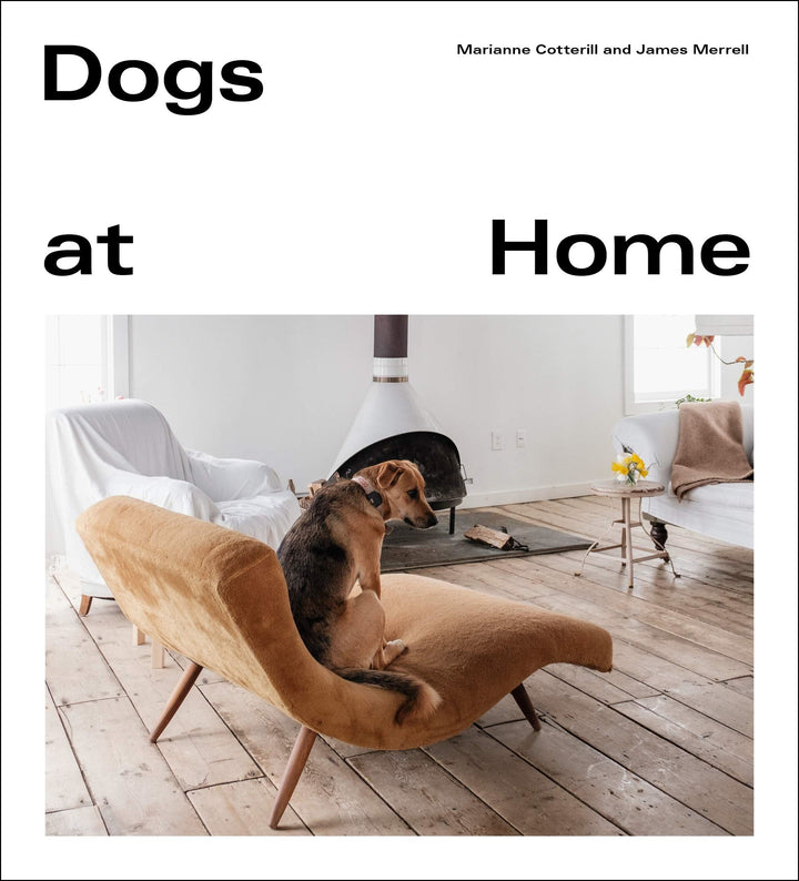 DOGS AT HOME