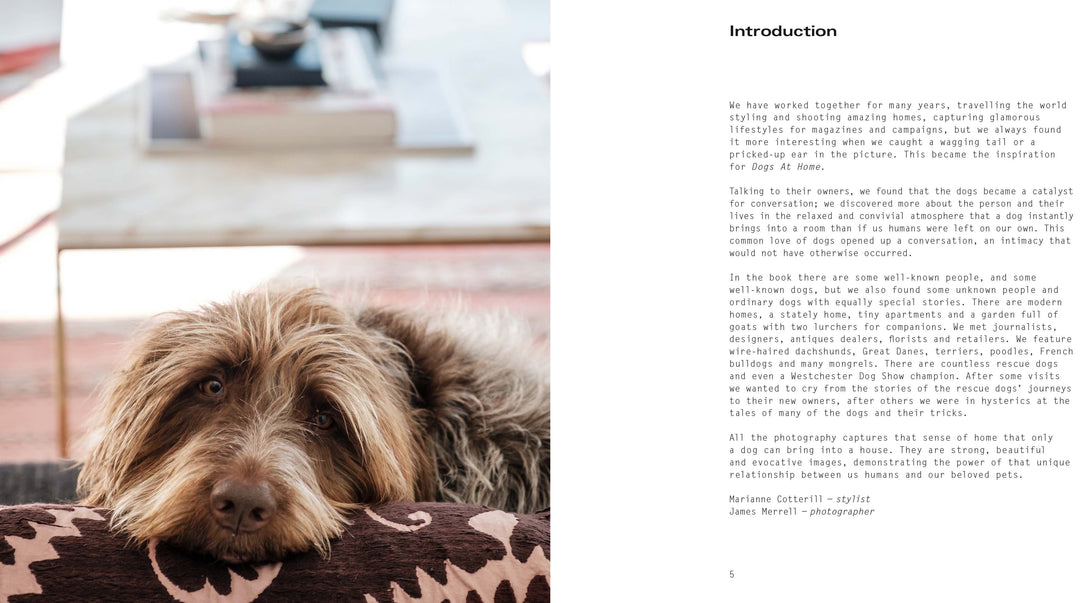 DOGS AT HOME