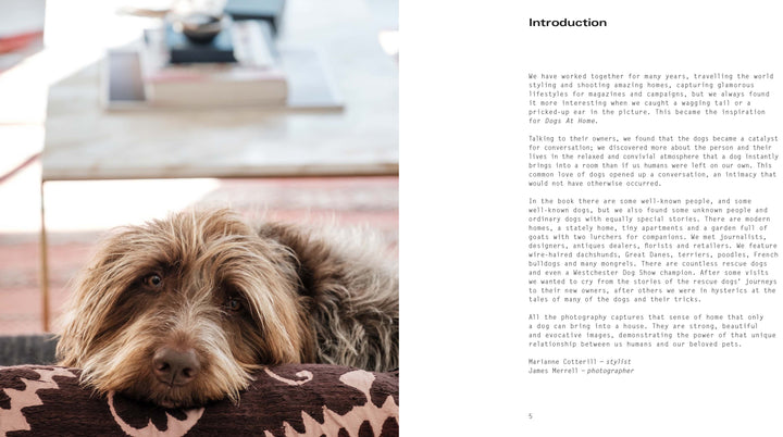 DOGS AT HOME
