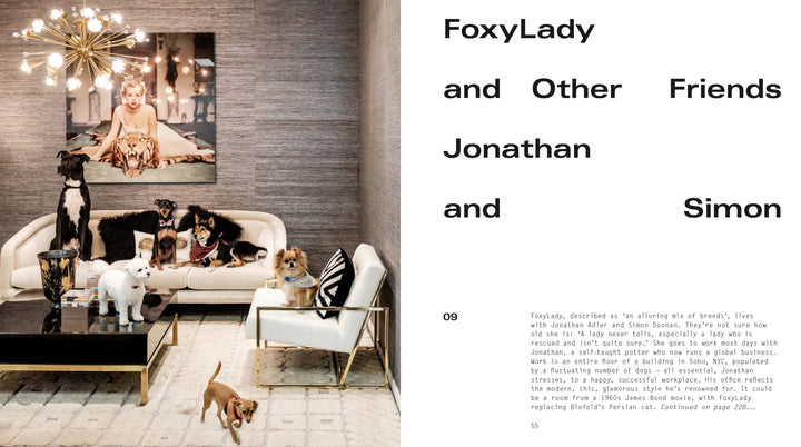 DOGS AT HOME