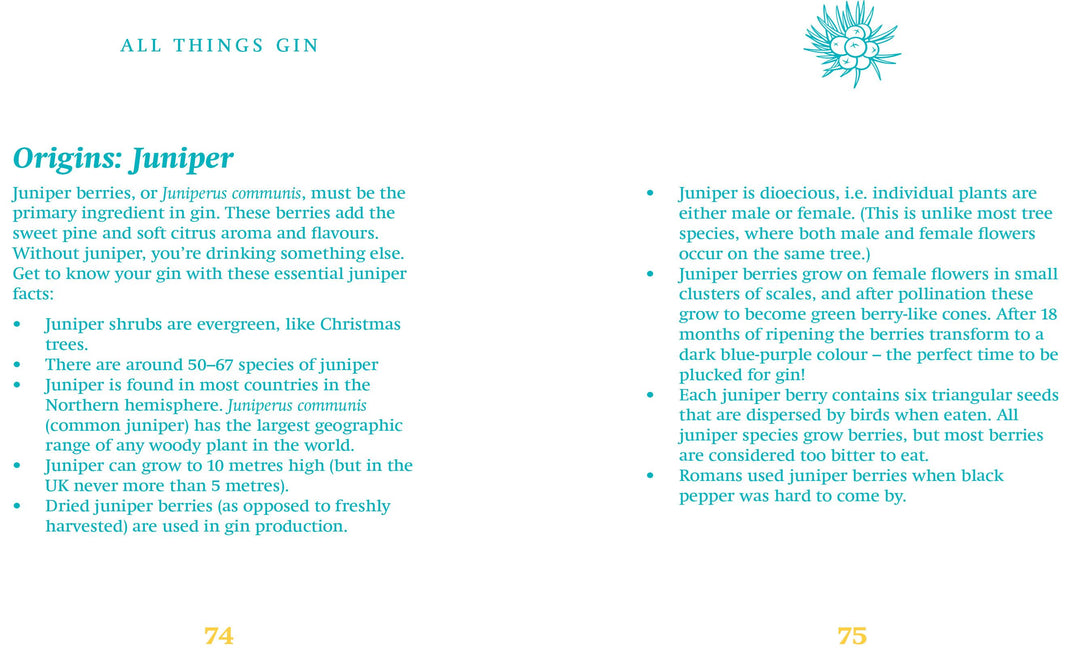 LITTLE BOOK OF GIN (ORANGE HIPPO)