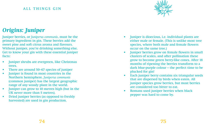 LITTLE BOOK OF GIN (ORANGE HIPPO)