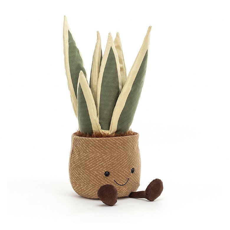 AMUSEABLE SNAKE PLANT