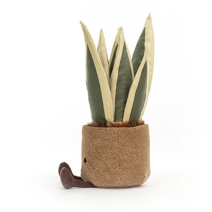 AMUSEABLE SNAKE PLANT