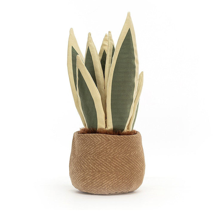 AMUSEABLE SNAKE PLANT