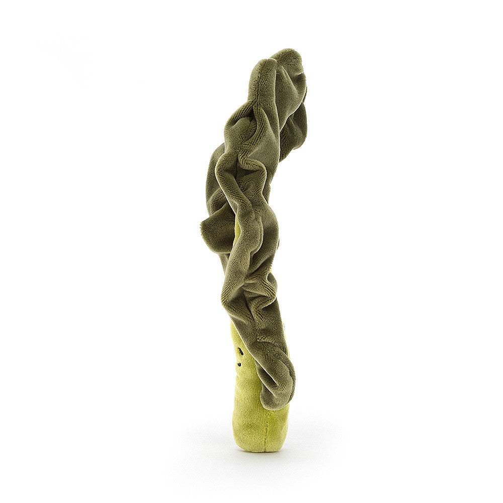VIVACIOUS VEGETABLE KALE LEAF