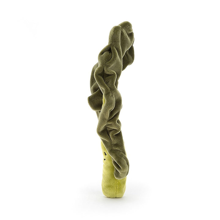 VIVACIOUS VEGETABLE KALE LEAF