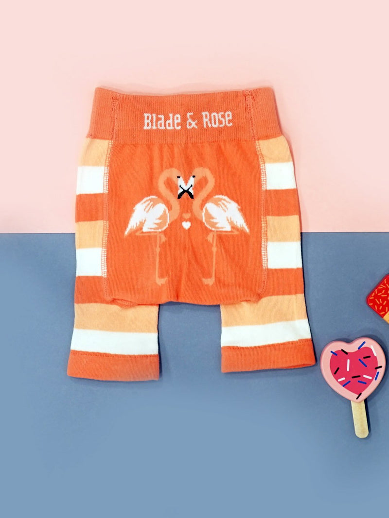 FLAMINGO SHORTS