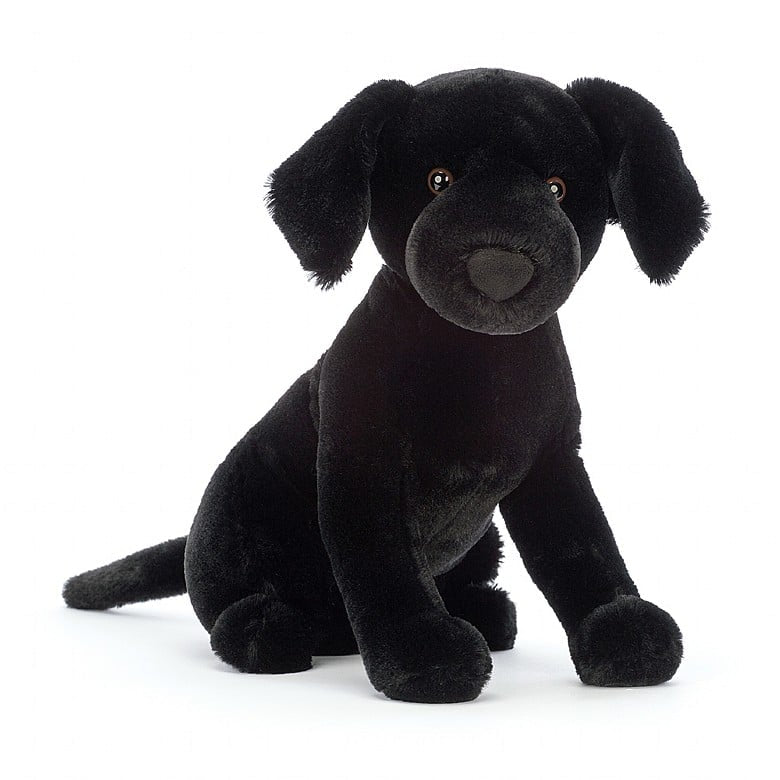 PIPPA BLACK LABRADOR