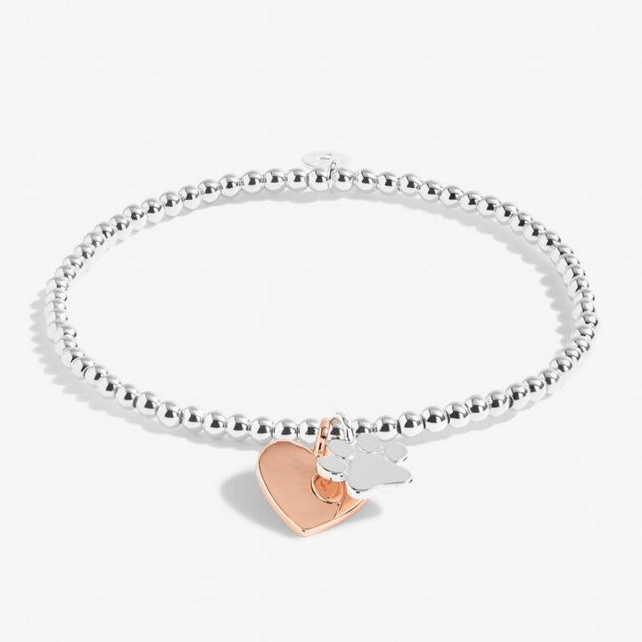 A LITTLE 'PUPPY LOVE' BRACELET