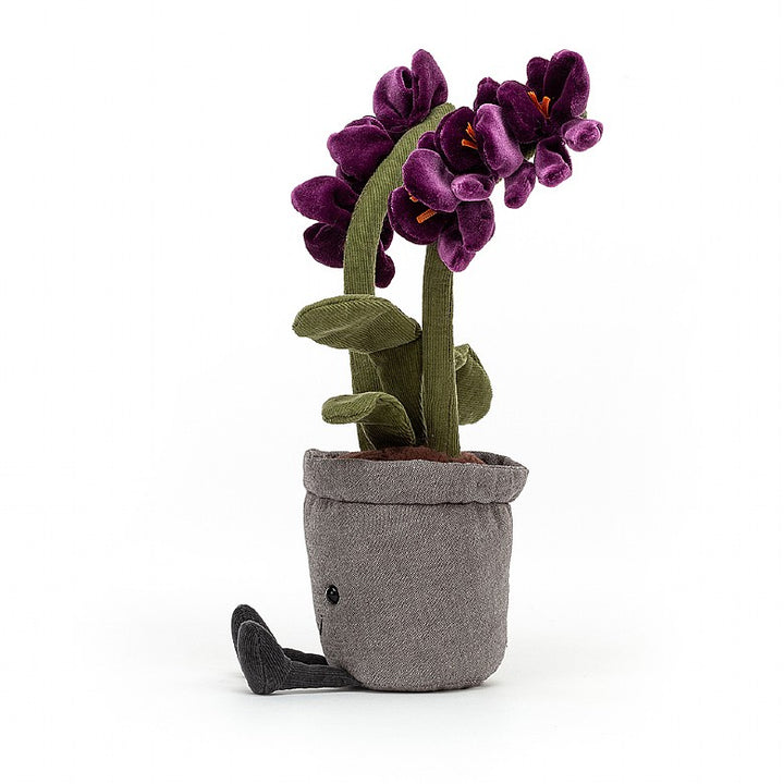 AMUSEABLE PURPLE ORCHID