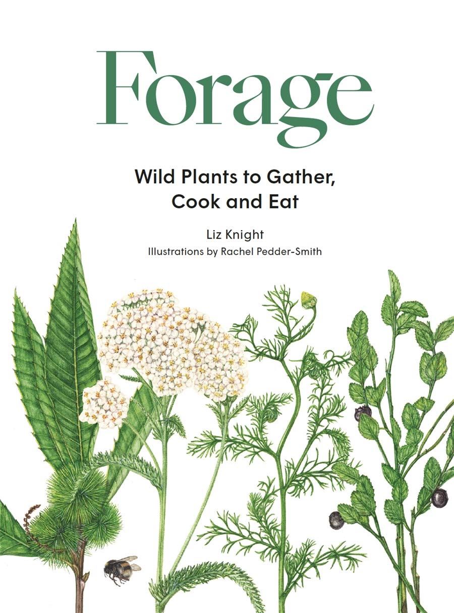 FORAGE - WILD PLANTS TO GATHER,COOK AND EAT