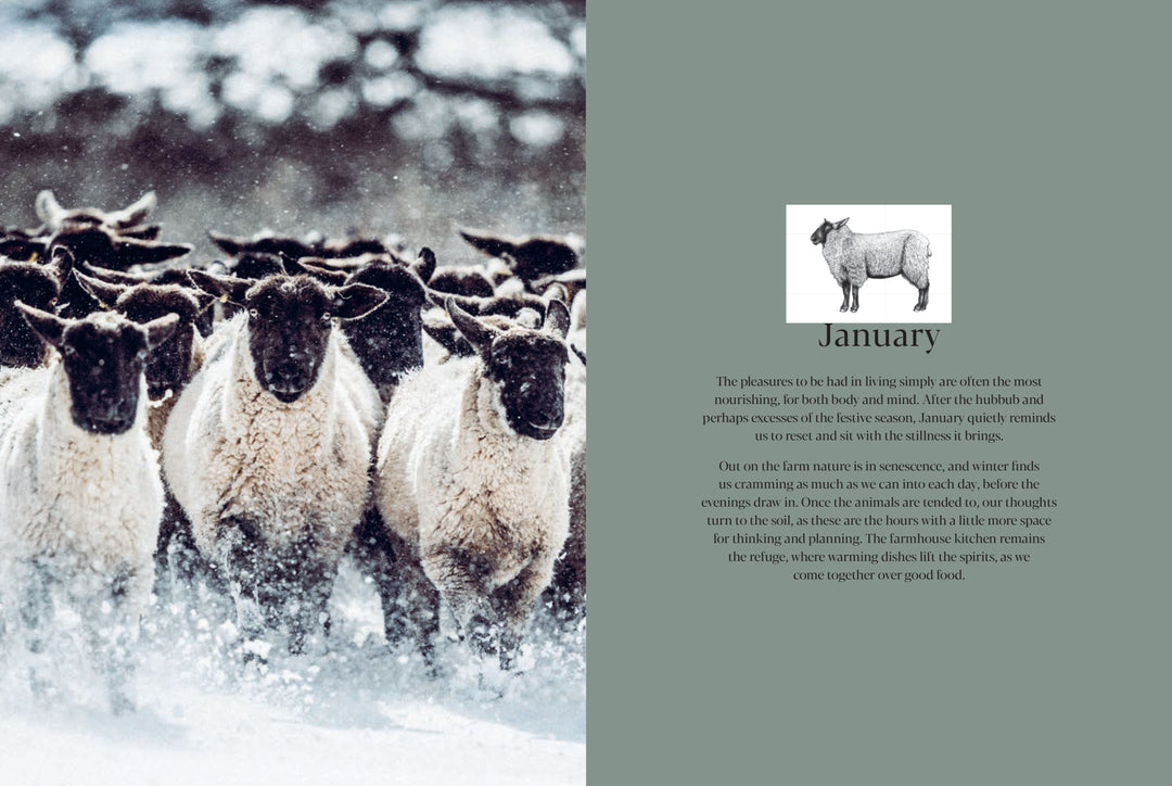 PIPERS FARM THE SUSTAINABLE MEAT COOKBOOK