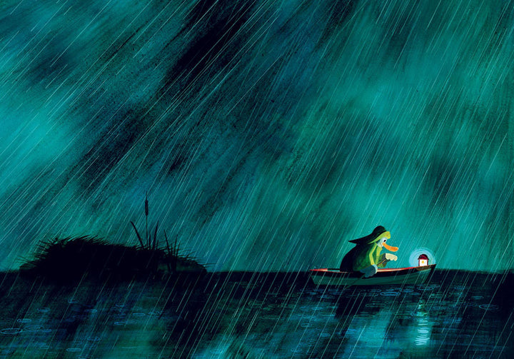 THE DUCK WHO DIDNâ€™T LIKE WATER BOOK