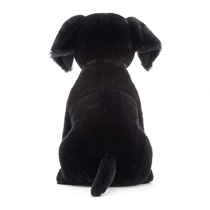 PIPPA BLACK LABRADOR
