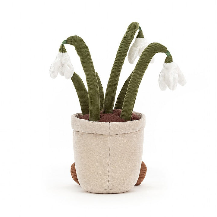 AMUSEABLE SNOWDROP