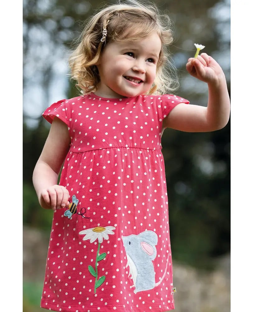 LITTLE LOLA WATERMELON MOUSE DRESS