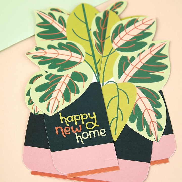 3D FOLD-OUT NEW HOME PLANT CARD