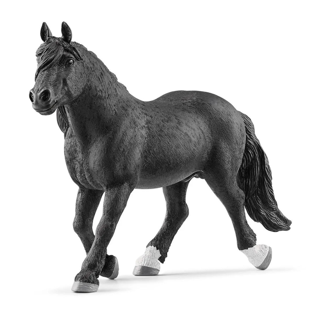 NORIKER STALLION