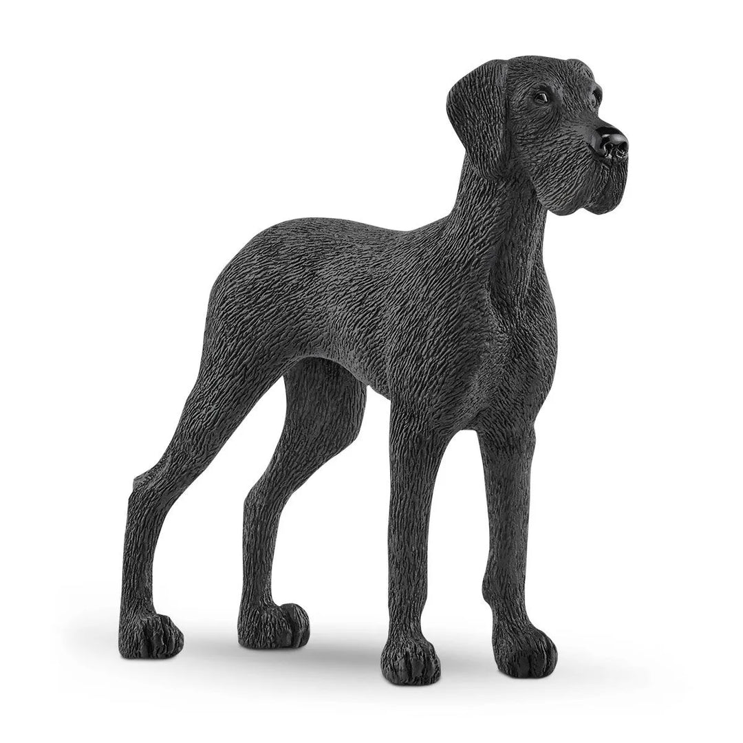 GREAT DANE
