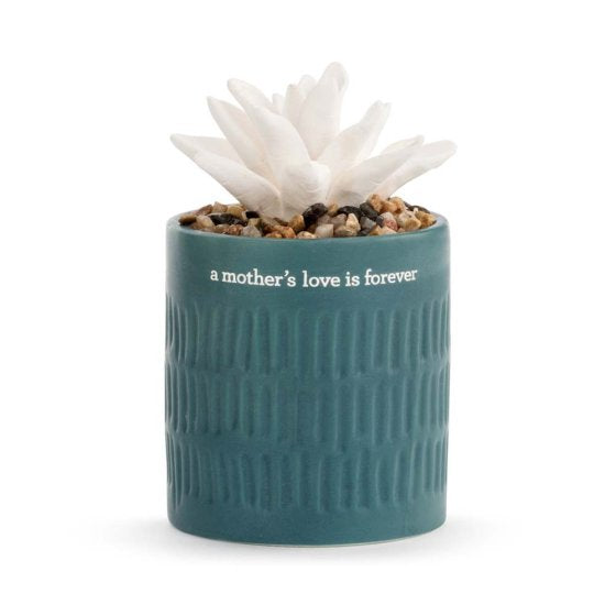 MOTHERS LOVE SUCCULENT OIL DIFFUSER