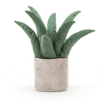 AMUSEABLE ALOE VERA BIG