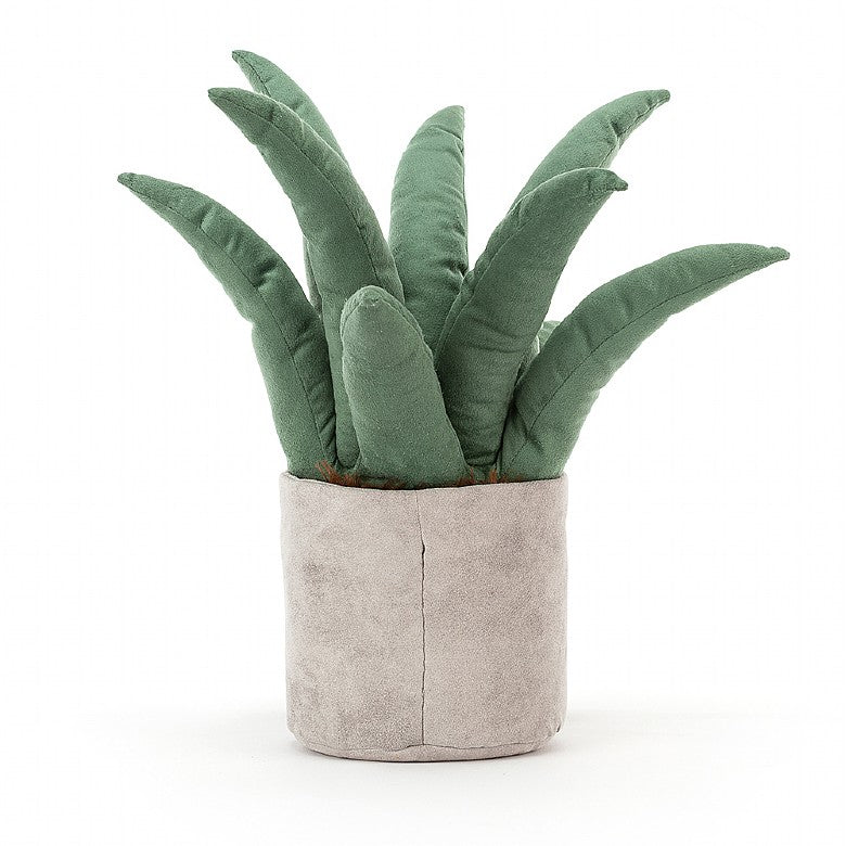 AMUSEABLE ALOE VERA BIG