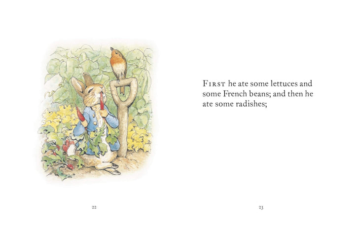 TALE OF PETER RABBIT
