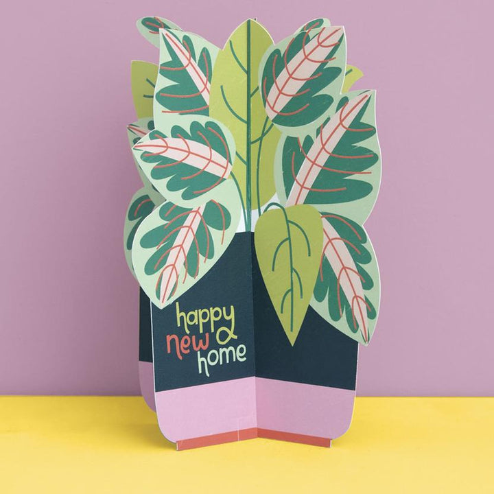 3D FOLD-OUT NEW HOME PLANT CARD