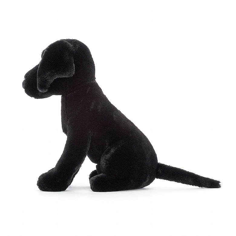 PIPPA BLACK LABRADOR