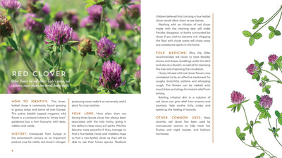 THE GARDEN APOTHECARY BOOK