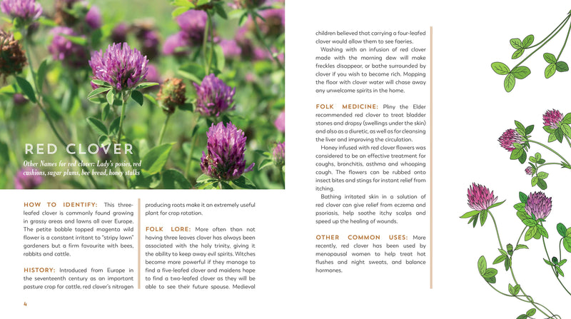 THE GARDEN APOTHECARY BOOK