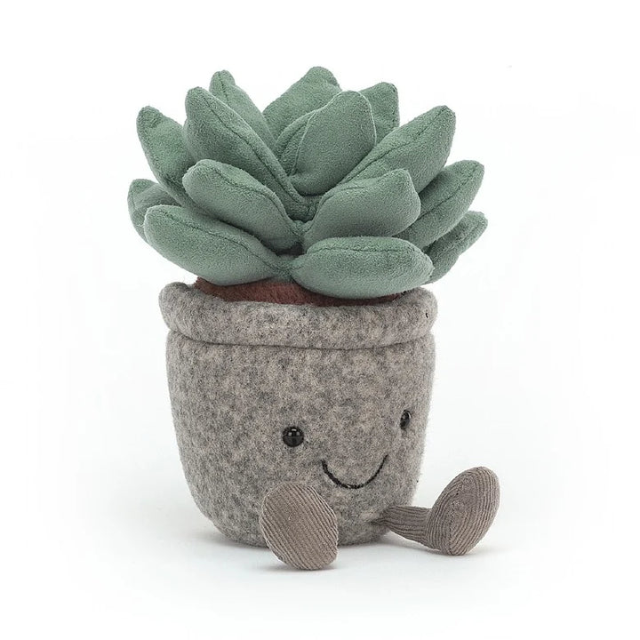 SILLY SUCCULENT AZULITA
