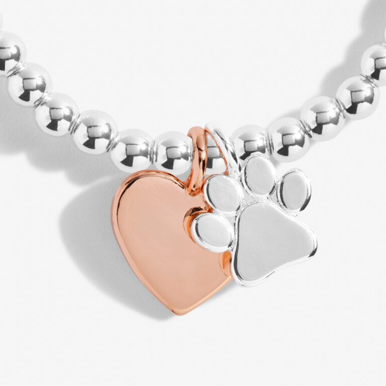 A LITTLE 'PUPPY LOVE' BRACELET